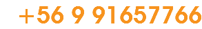 +56 9 91657766